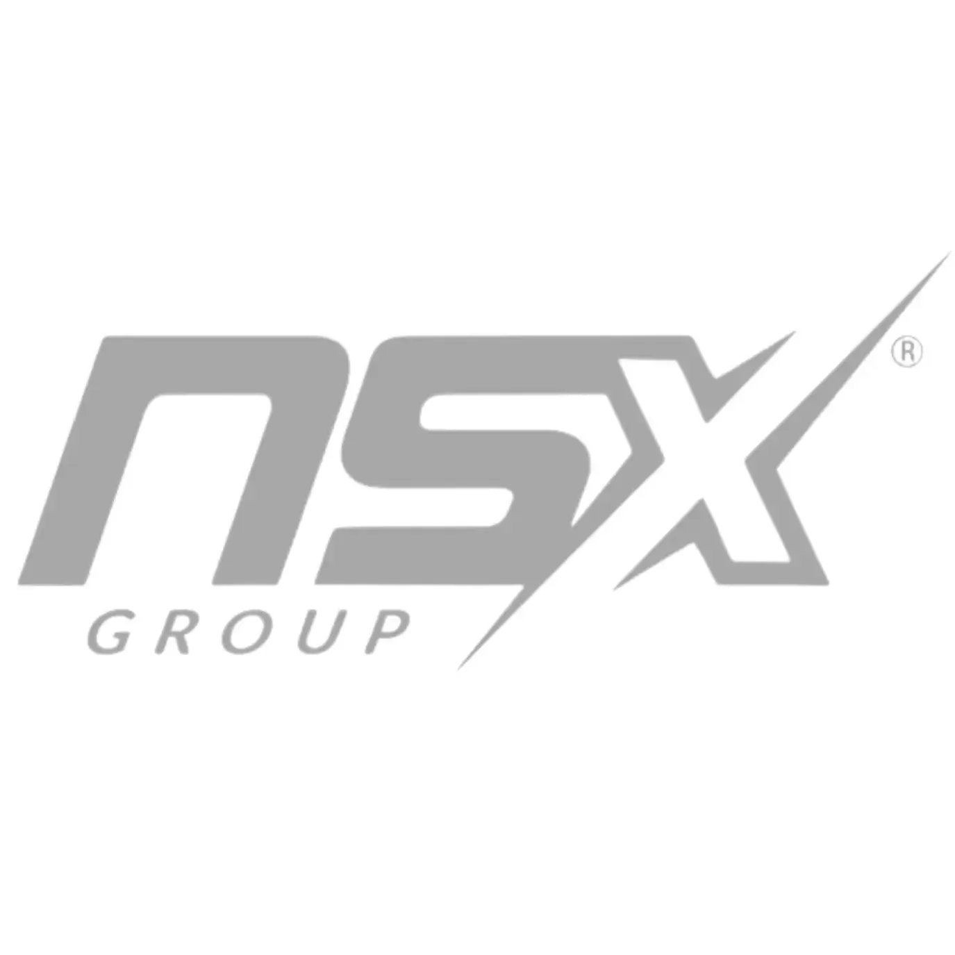 Logo NSX