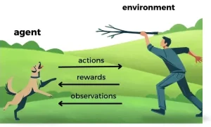 A dog and a man in a green field demonstrating a reinforcement learning scenario. The dog (labeled 'agent') performs actions in response to the man (representing the 'environment'), receiving rewards and making observations based on its behavior.